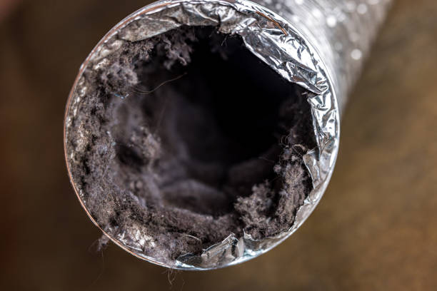 Best Air Duct Cleaning Company Near Me  in Planada, CA